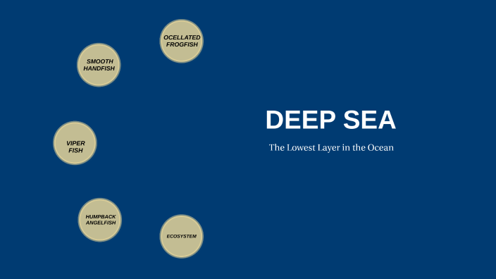 DEEP SEA PRESENTATION by MARIO ALCALA IBORRA on Prezi