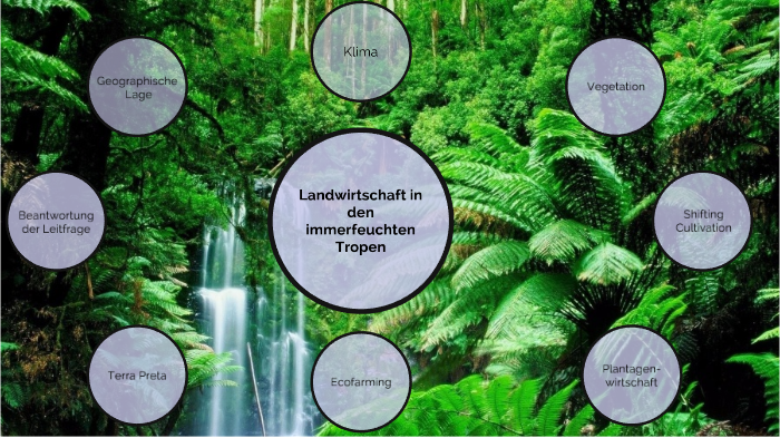Landwirtschaft In Den Tropen Landwirtschaft in den immerfeuchten Tropen by Jessica Hahn on Prezi