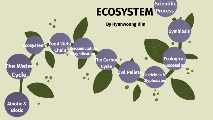 Ecosystems Take Control of The Internet by Hyunwoong Kim on Prezi