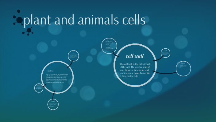 plant and animals cells by Mia Saldi on Prezi
