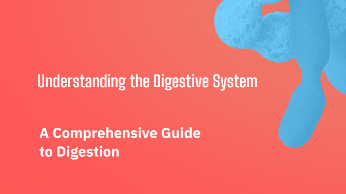 Understanding the Digestive System by Liliahna Lee [STUDENT] on Prezi