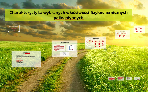 Charakterystyka Wybranych Właściwości Fizykochemicznych Pali By Magda 