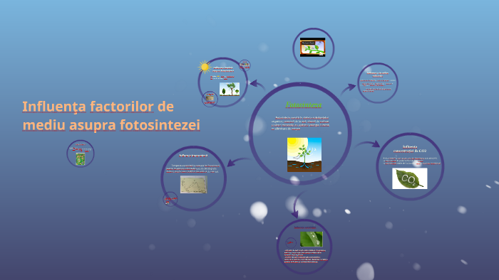 Influenta Factorilor De Mediu Asupra Fotosintezei Influenta Factorilor De Mediu Asupra Fotosintezei