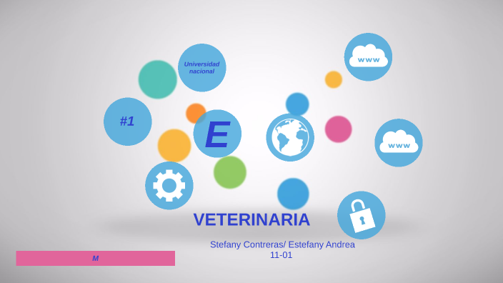 MI CARRERA UNIVERSITARIA by Estefany Andrea García Fajardo on Prezi