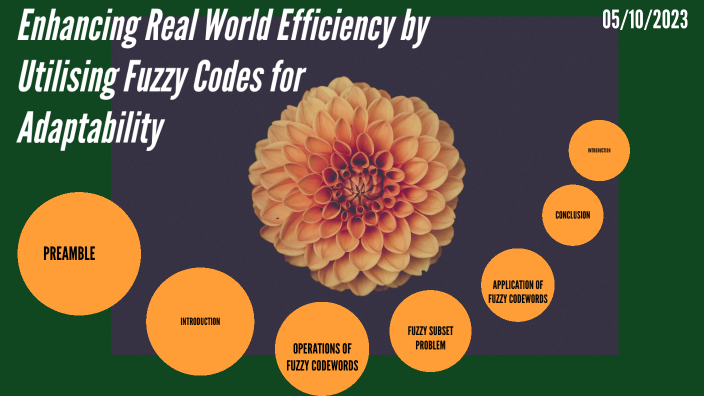 Enhancing Real World Efficiency by Utilising Fuzzy Codes for ...