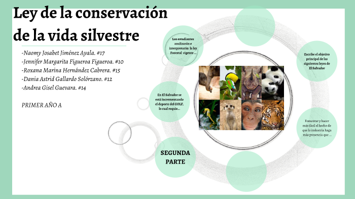 Ley De La Conservación De La Vida Silvestre El Salvador By Jenny Naomy ...