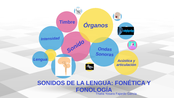 SONIDOS DE LA LENGUA: FONÉTICA Y FONOLOGÍA by thalia fajardo on Prezi