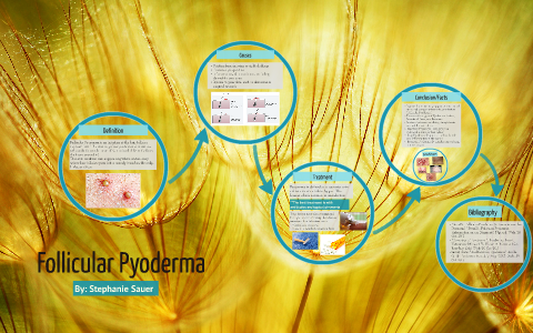 Follicular Pyoderma by stephanie sauer on Prezi