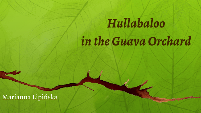 hullabaloo in the guava orchard review hullabaloo in the guava orchard review