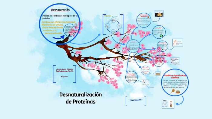 Desnaturalizacion de Proteinas by Daniela Gomez Cifuentes on Prezi