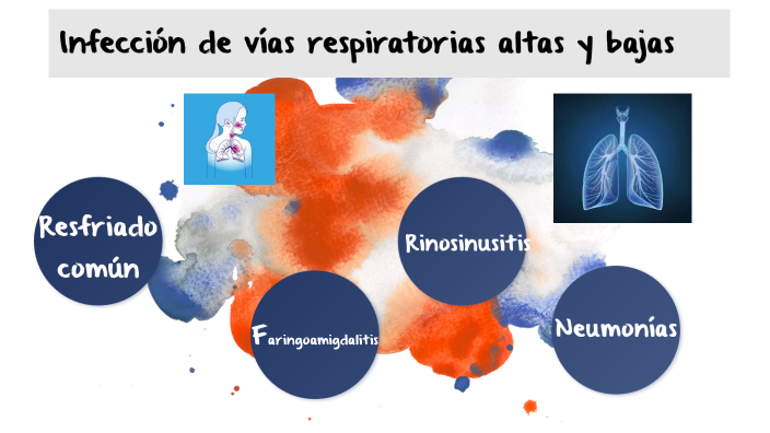 Infección de vías respiratorias altas y bajas by Liliana Ruiz Avalos on ...