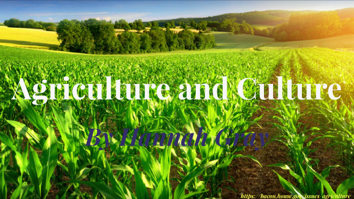 agriculture and culture by Hannah Gray