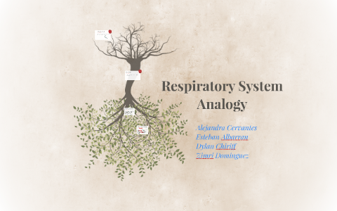 Respiratory System Analogy by Alejandra Cervantes on Prezi