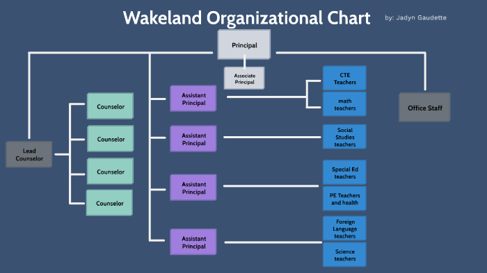 bmf-org-chart-by-jadyn-gaudette