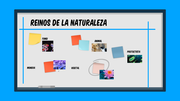 Reinos de la naturaleza by Ana Curiel on Prezi