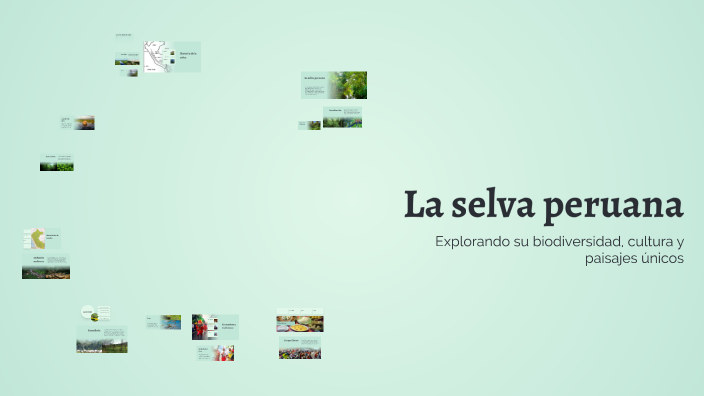 La selva peruana by Dhayanna taipe on Prezi