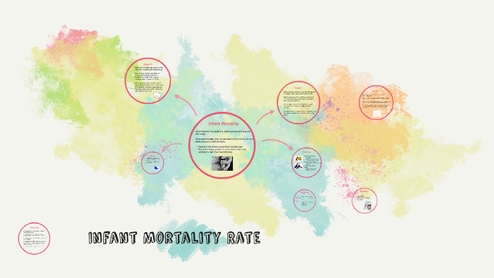 infant mortality rate essay