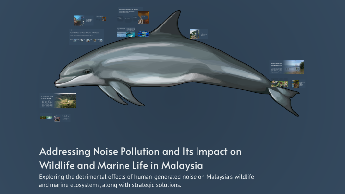 Addressing Noise Pollution and Its Impact on Wildlife and Marine Life ...