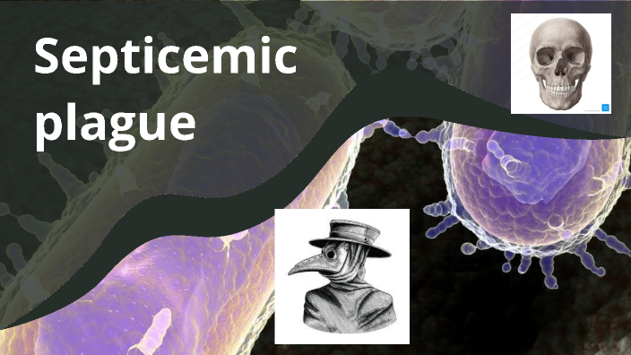 the septicemic plague by John Straut on Prezi