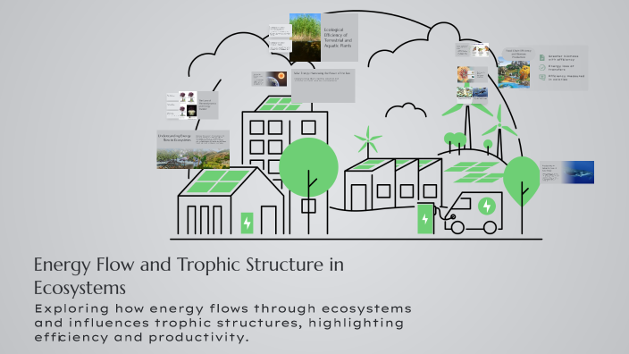 Energy Flow and Trophic Structure in Ecosystems by Ayad Dawood on Prezi