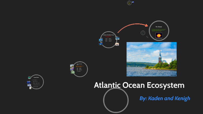 Atlantic Ocean Ecosystem by Mrs. Moore on Prezi