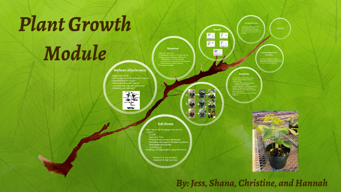 Plant Growth Module by Christine Jauernig on Prezi