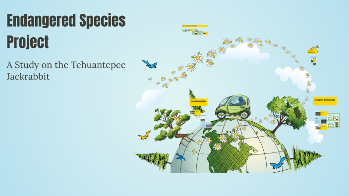Endangered Species Project by cole on Prezi