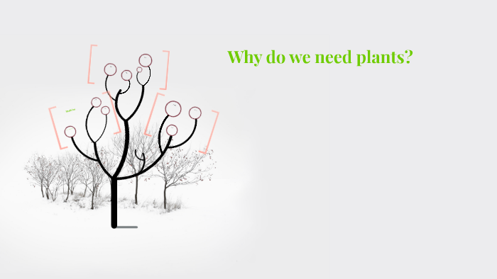 why-do-we-need-plants-by-aaqib-zahir