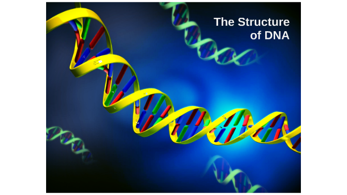 Structure and function of DNA by Cat Caracciolo on Prezi