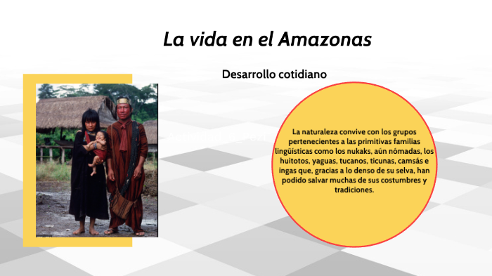 La vida en la selva del Amazonas by Erick Ilenz Kazazola on Prezi