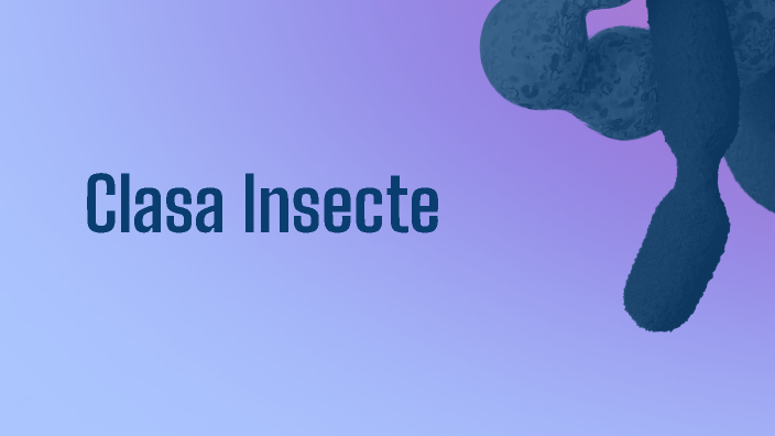 Clasa Insecte by Cristian Bidiuc on Prezi