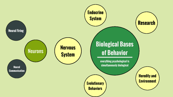 Ap Psychology Unit 3 Concept Map By Hannah Nguyen On Prezi