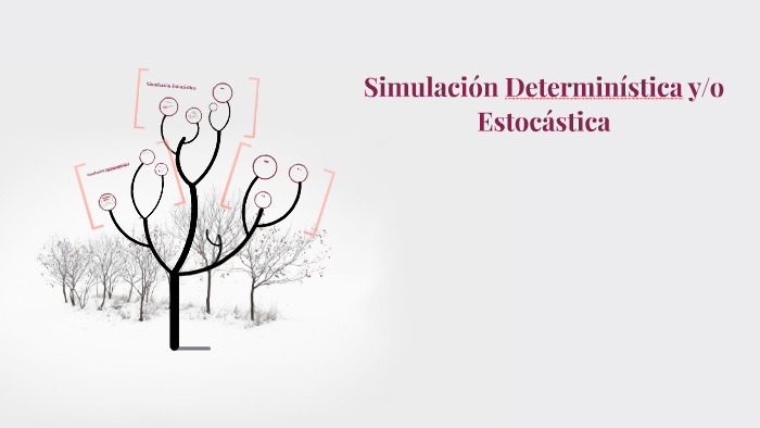 Simulación Determinística y/o Estocástica by Raquel Johanna Moyano