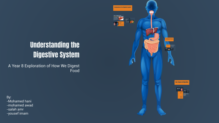 Understanding the Digestive System by Mohamed Hani on Prezi