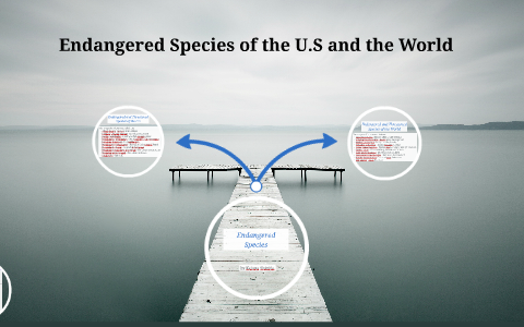 Endangered Species by K S on Prezi