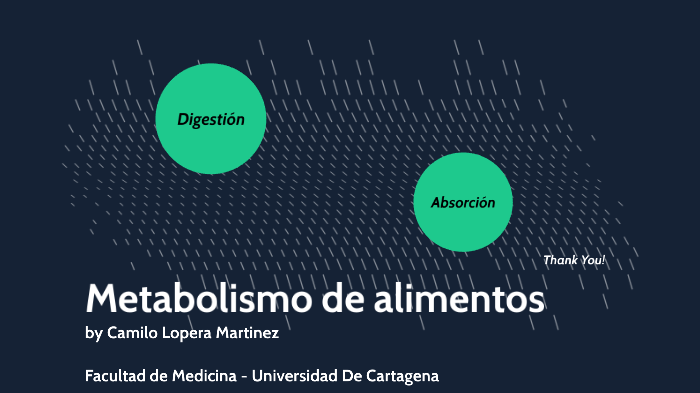 Metabolismo De Alimentos By Javier Felipe Uribe On Prezi