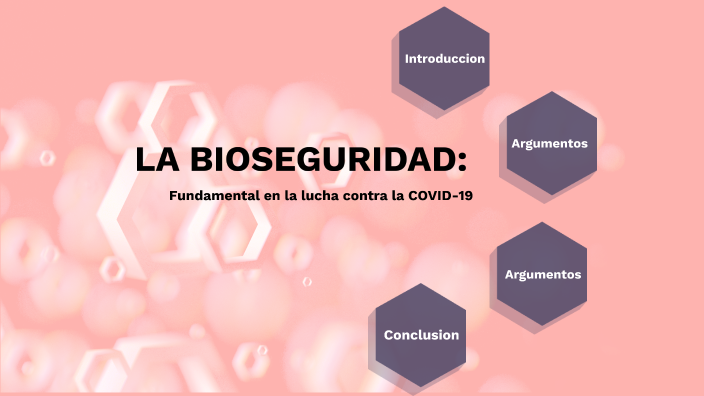 Normas de Bioseguridad by Dafne Hinostroza