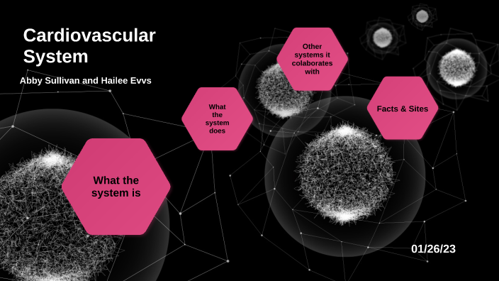 Cardiovascular System by Abigail Sullivan on Prezi