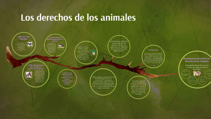 Los derechos de los animales by Alan Hernández on Prezi