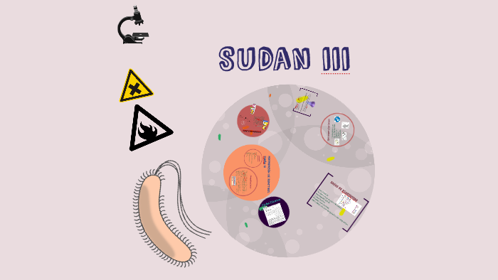 Sudan iii by Maria Jose Peña on Prezi