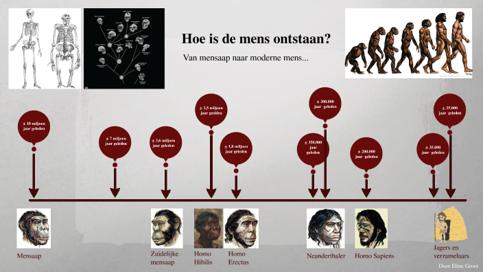 Hoe is de mens ontstaan? by Eline Groot on Prezi