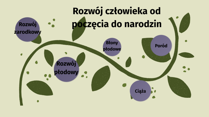 Rozwój człowieka od poczęcia do narodzin by Sylwia Kaniewska on Prezi