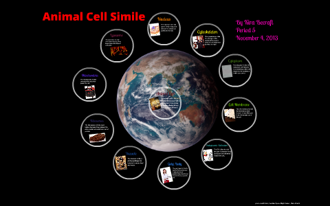 The Animal Cell Simile by on Prezi