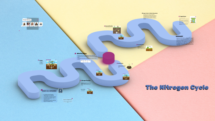 Nitrogen Cycle by TENA, JANNA GAYLE on Prezi