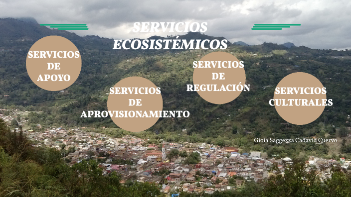 Servicios EcosistÉmicos By Yenny Cuervo On Prezi 2682