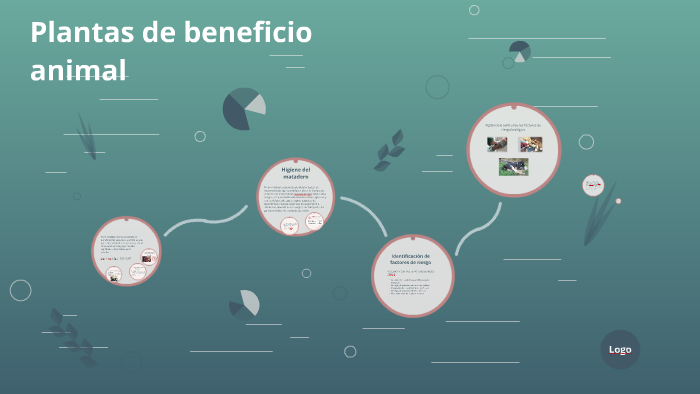 Plantas de beneficio animal by jessica aroca on Prezi
