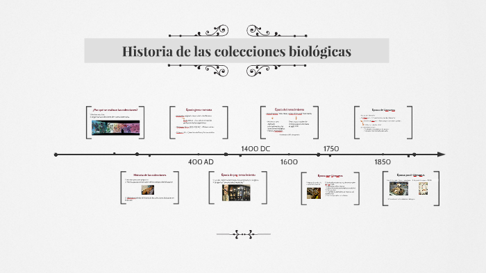 Historia de las colecciones biológicas by diana bonilla