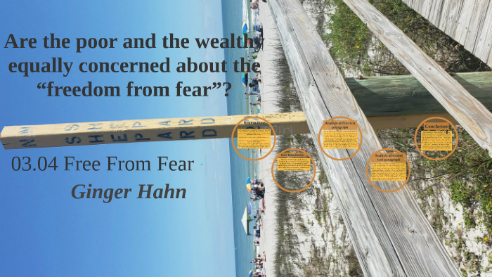freedom from fear essay