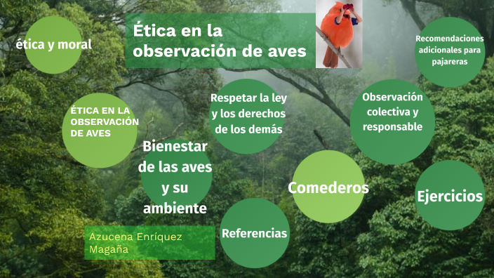 ética En La Observación De Aves By Azucena Em On Prezi