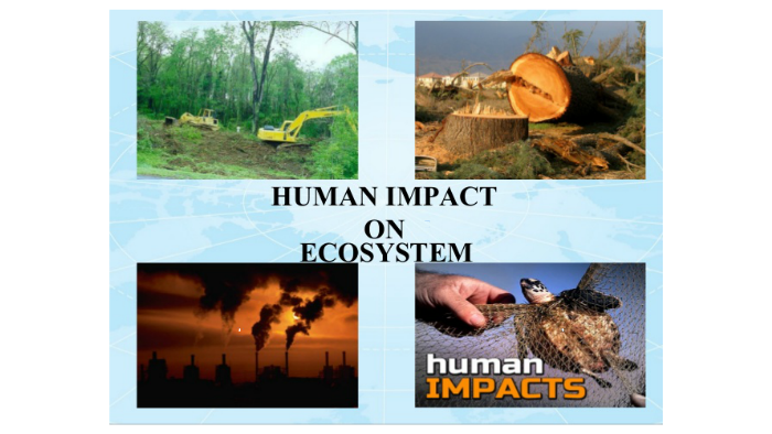 human-impact-on-ecosystem-by-kathryn-altamiarno